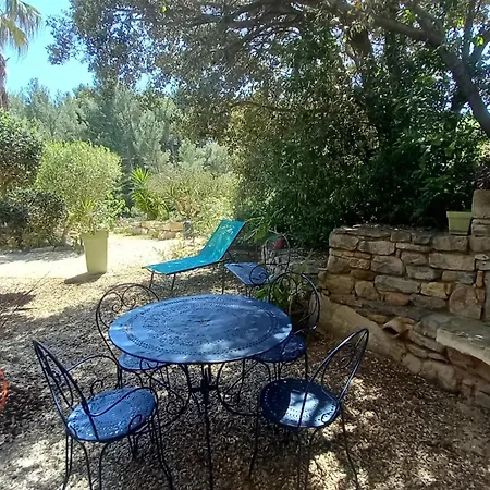 Studio Dans Jardin Arbore *