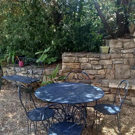 Studio Dans Jardin Arbore